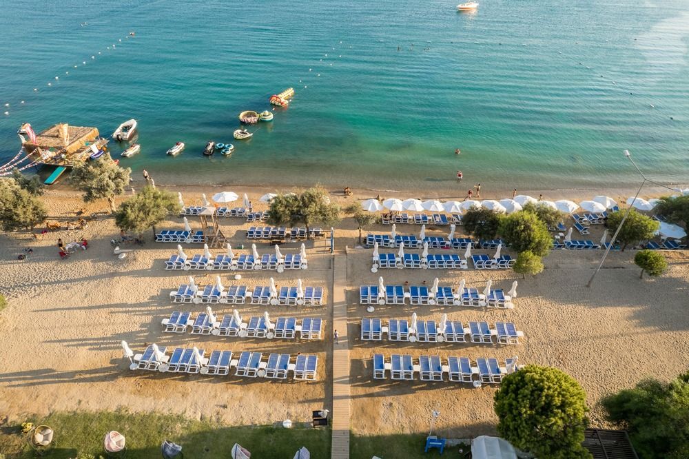 Maxeria Blue Didyma - 2