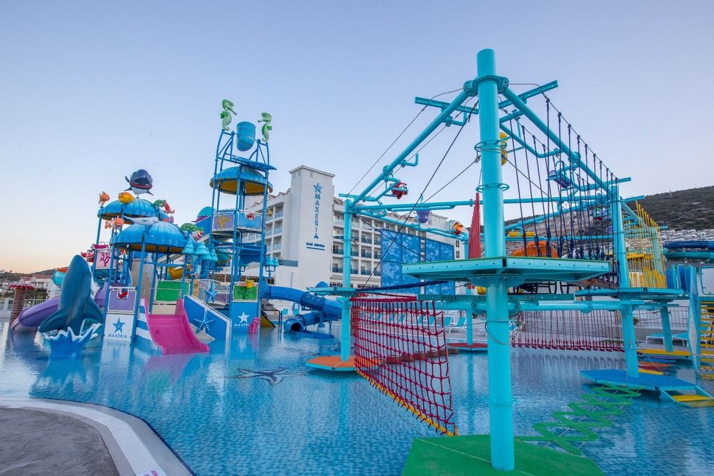 Maxeria Blue Didyma - 18