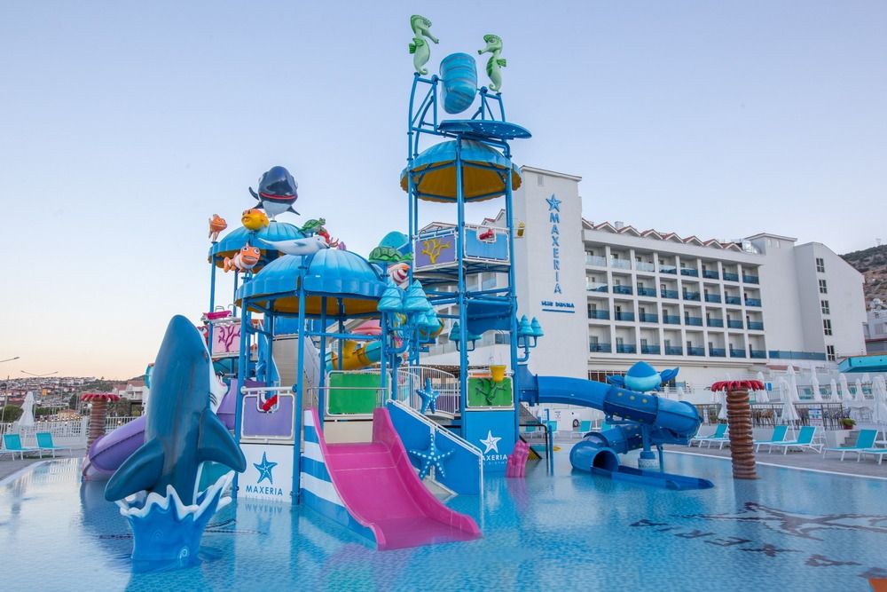 Maxeria Blue Didyma - 17