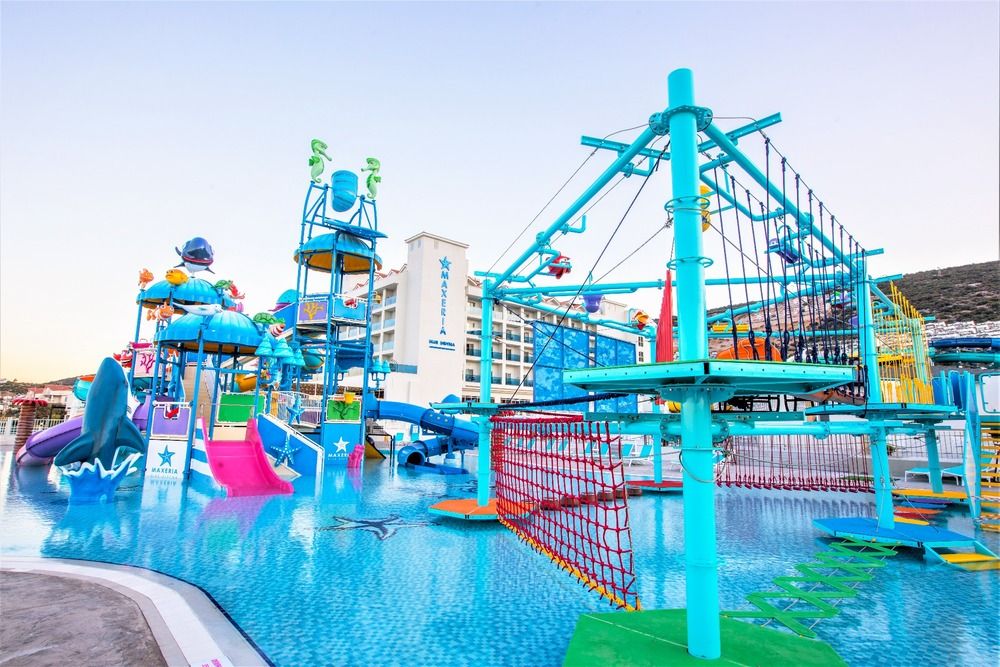 Maxeria Blue Didyma - 16