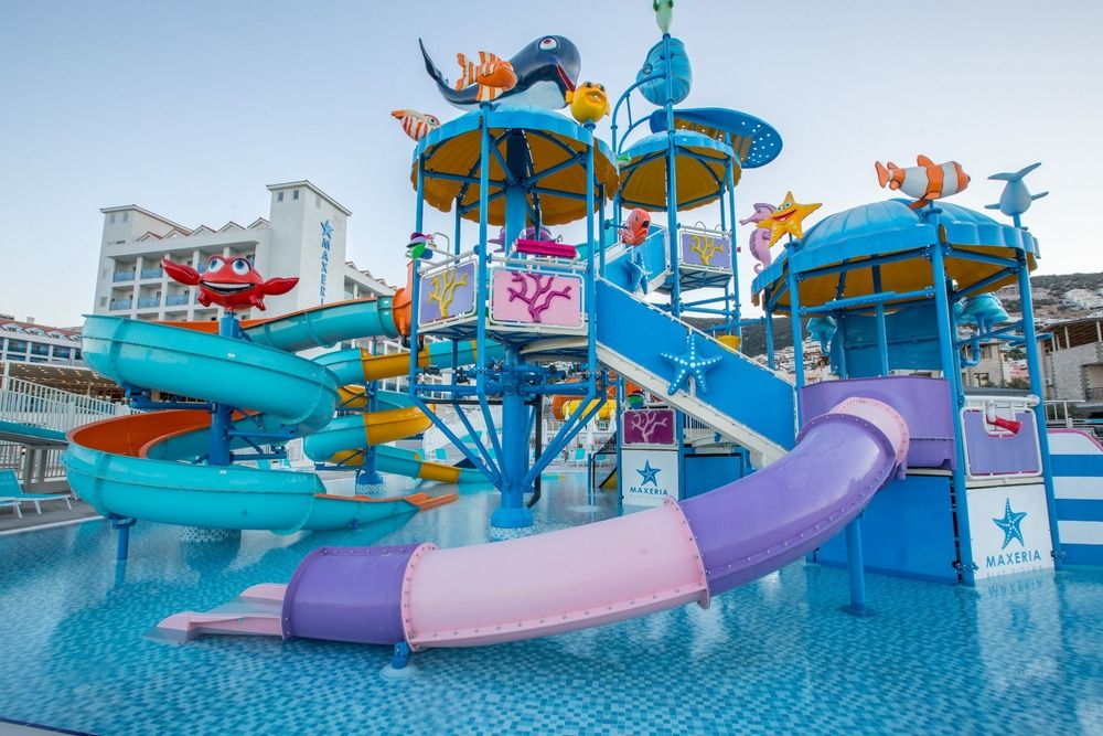 Maxeria Blue Didyma - 13