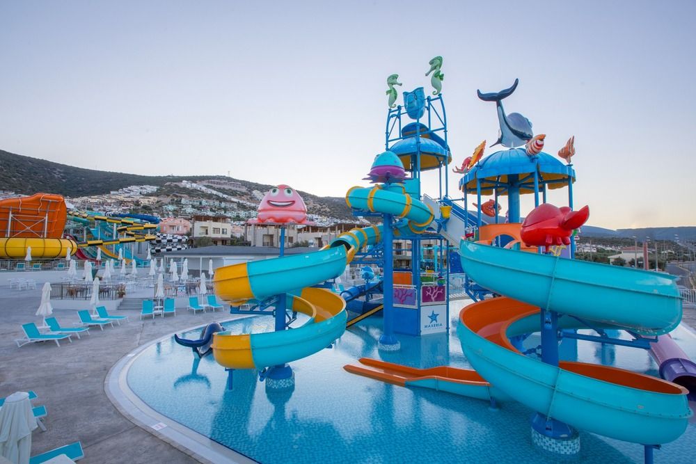 Maxeria Blue Didyma - 9