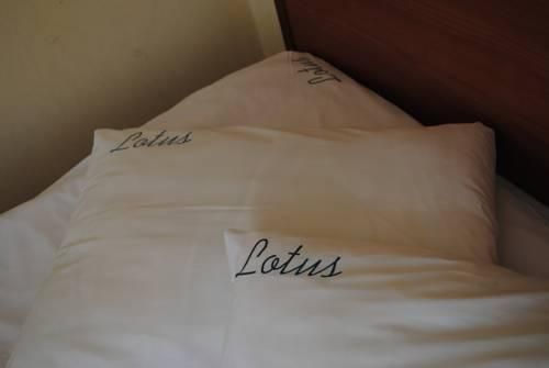 ЛОТОС, гостиница - 10