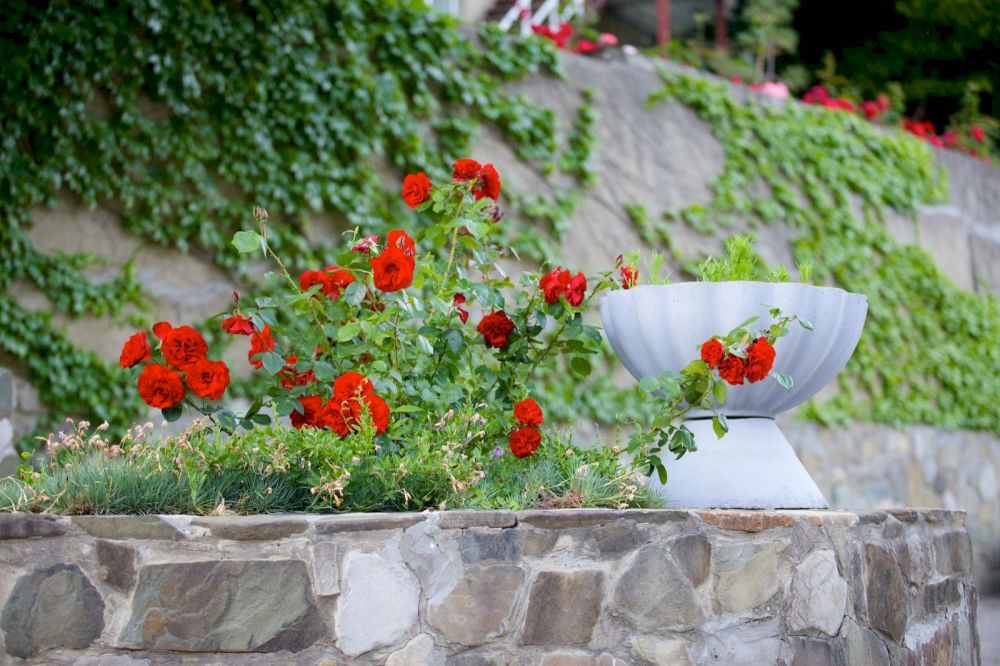 ARGO PARK HOTEL, санаторно-курортный комплекс (все включено) - 5