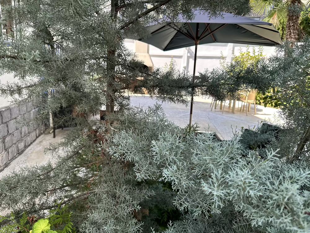 ЧАК-ЧАК, гостевой дом - 8