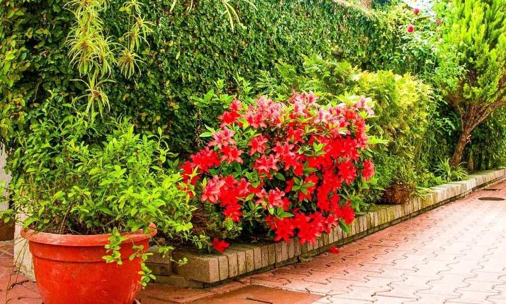 ВИЛЛА ВАЛЕНТИНА, гостевой дом - 4