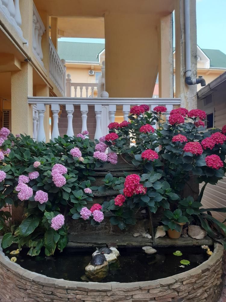 МОРСКОЙ БРИЗ, гостевой дом - 2