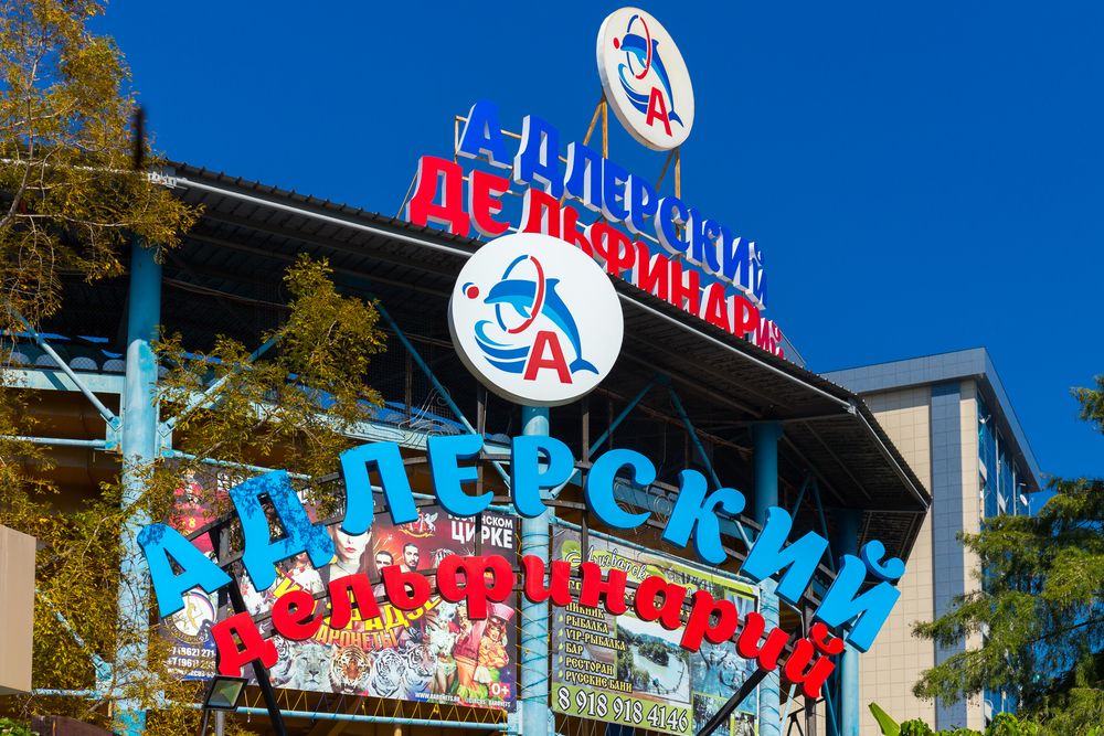 АДЛЕРКУРОРТ, санаторий (корп. КОРАЛЛ) - 40