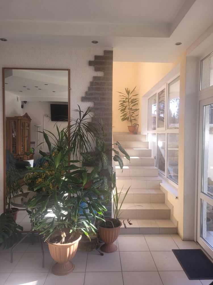 ВИТА, гостевой дом (размещение детей с 2х лет) - 4