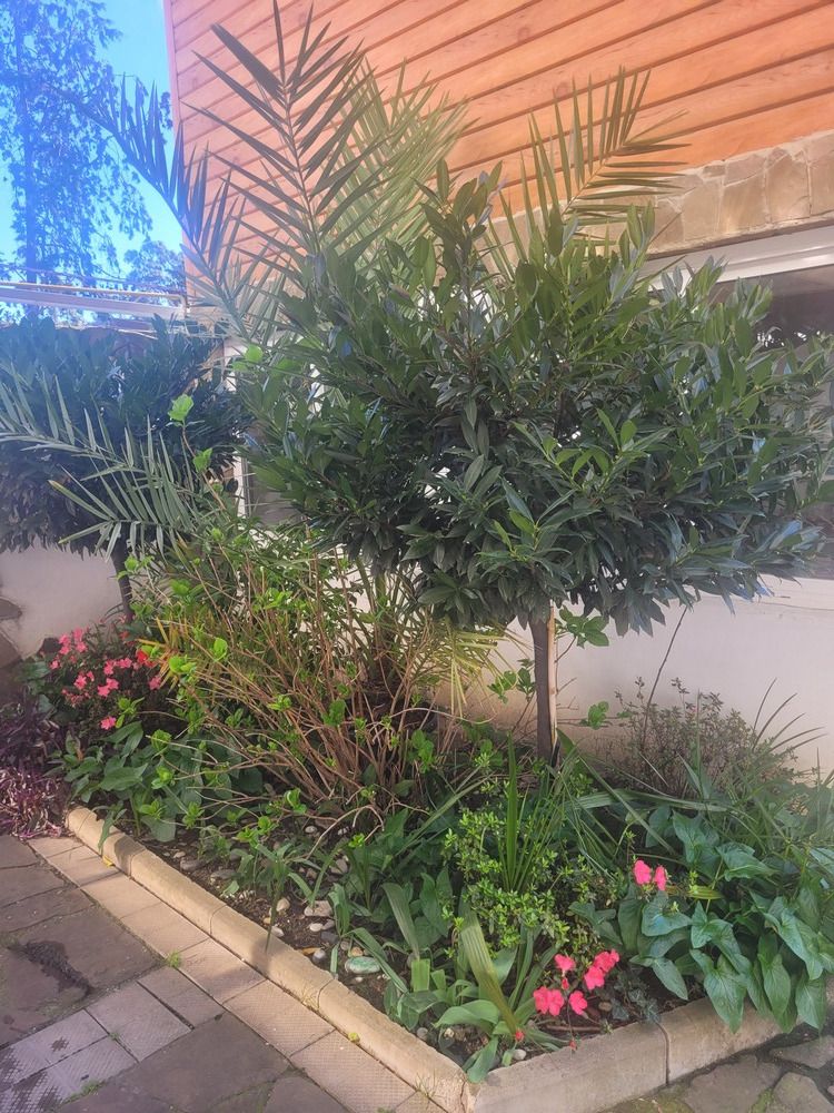 ВИТА, гостевой дом (размещение детей с 2х лет) - 15