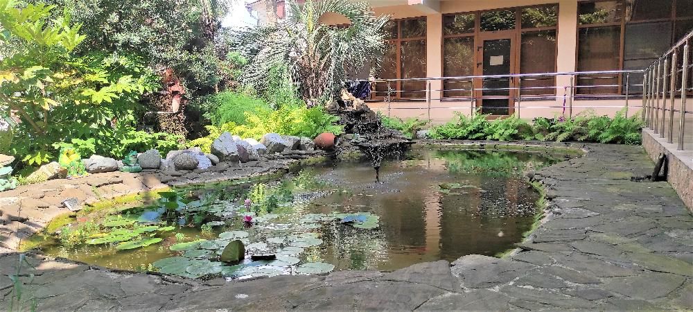 GOLD NIVA, гостевой дом (размещение детей с 3-х лет) - 3