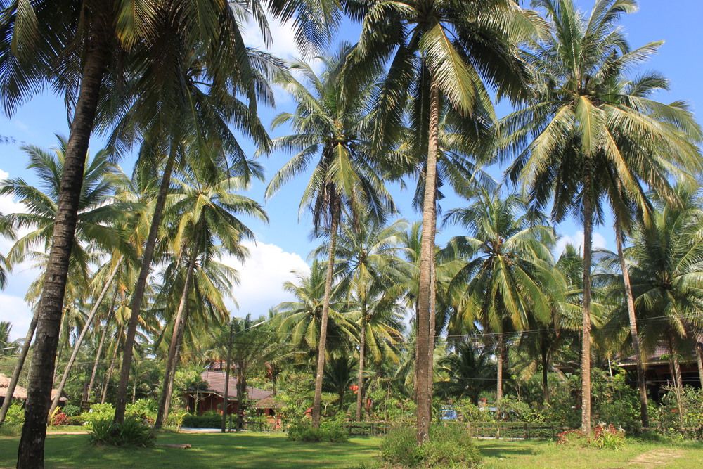 SUDALA BEACH RESORT - 6