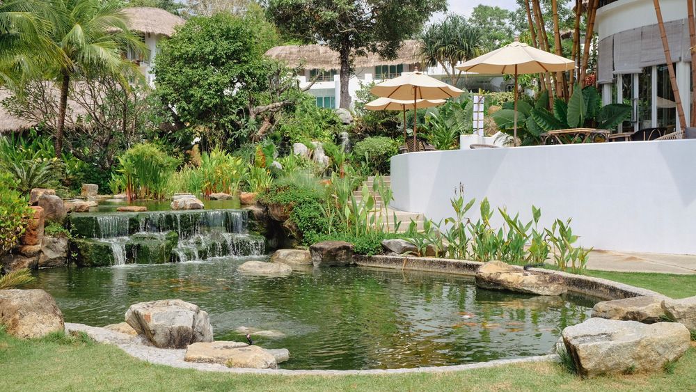 EDEN BEACH RESORT AND SPA - 7