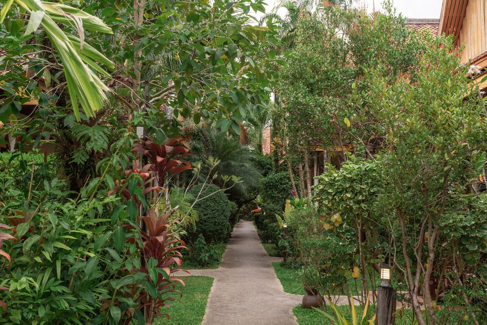 BANGTAO VILLAGE RESORT - 8