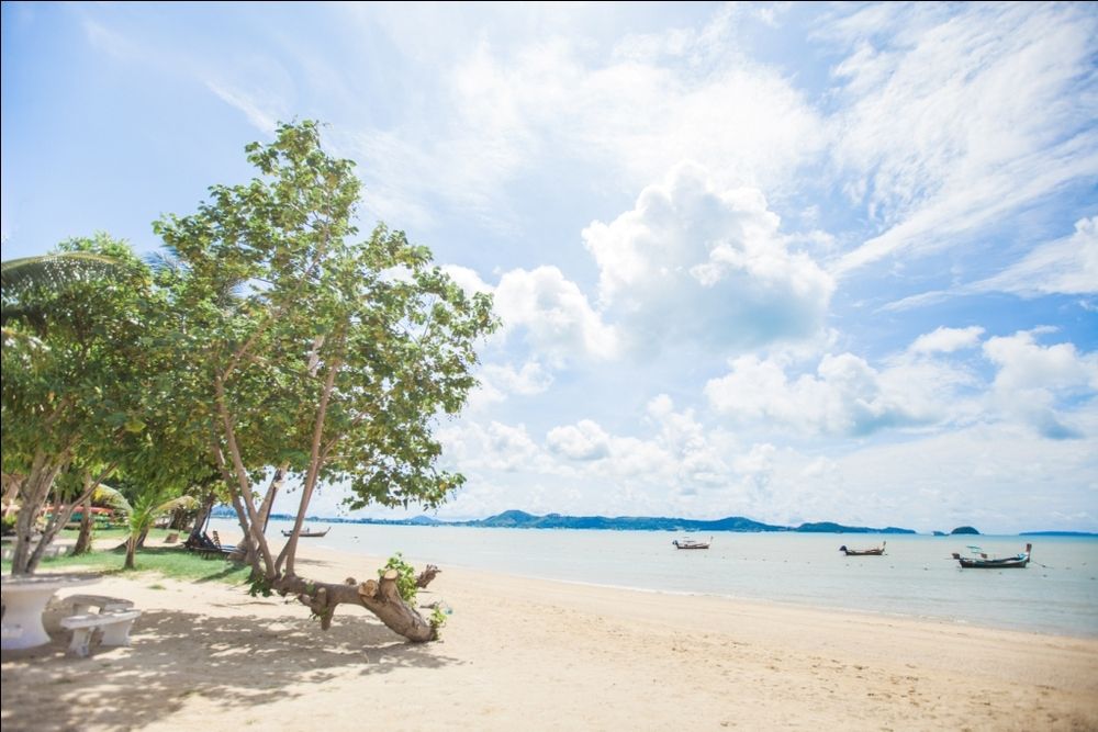 BLUE BEACH GRAND RESORT AND SPA - 12