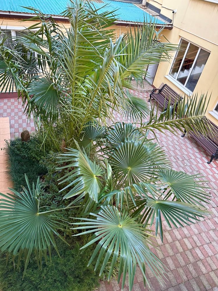 ФОНТАН, гостевой дом - 7