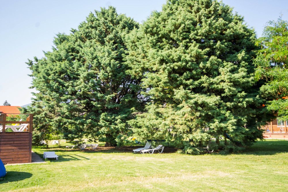 ОЗЕРО ДИВНОЕ, парк-отель - 16