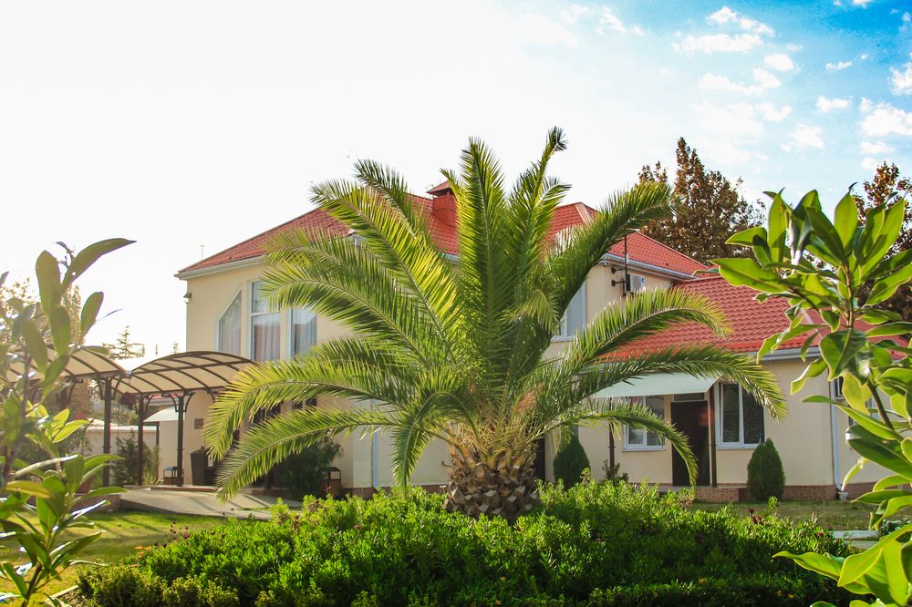 ОЗЕРО ДИВНОЕ, парк-отель - 12