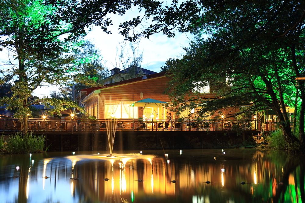 ОЗЕРО ДИВНОЕ, парк-отель - 15