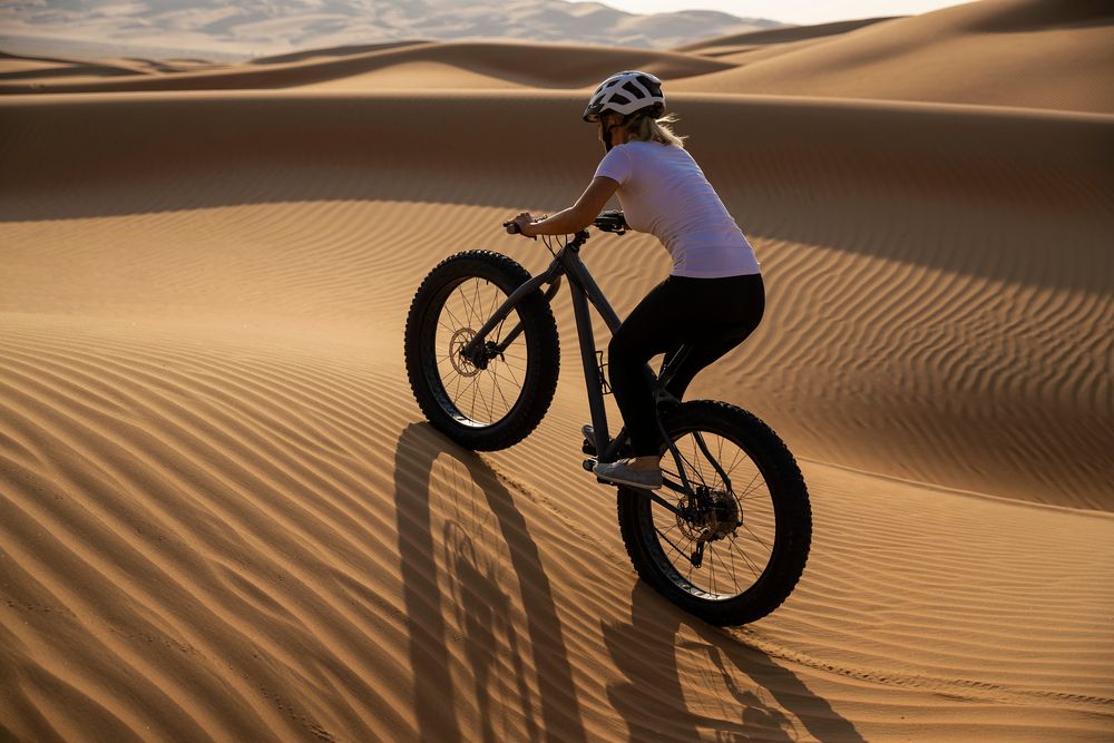 QASR AL SARAB RESORT & SPA BY ANANTARA - 77