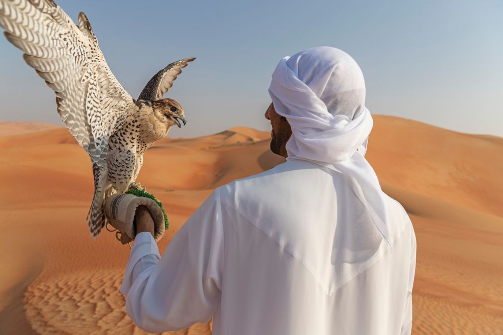 QASR AL SARAB RESORT & SPA BY ANANTARA - 76