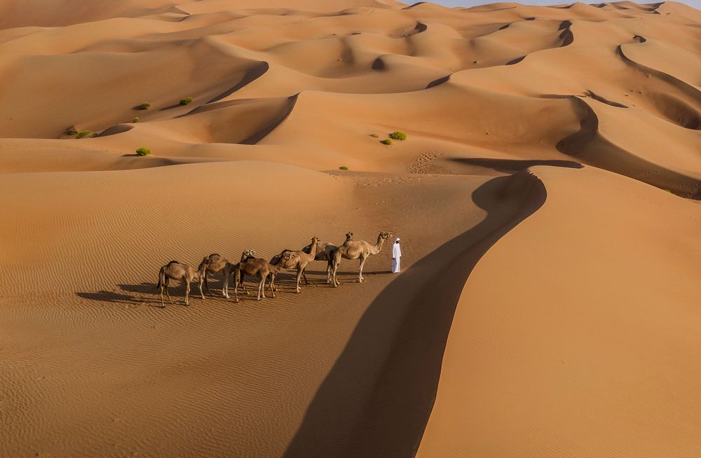 QASR AL SARAB RESORT & SPA BY ANANTARA - 74