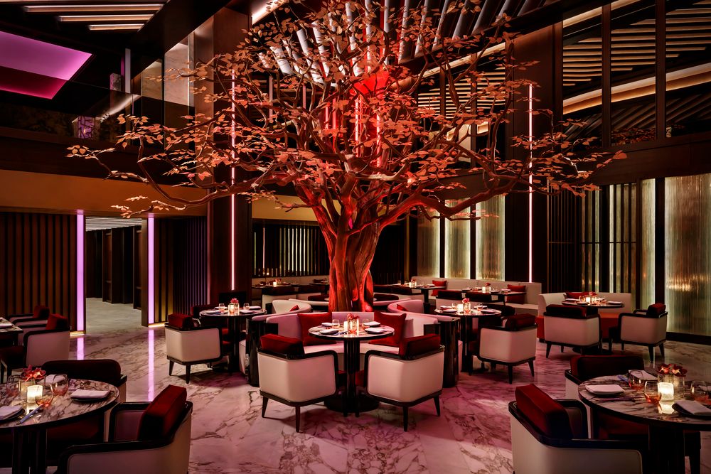 ATLANTIS THE ROYAL - 51