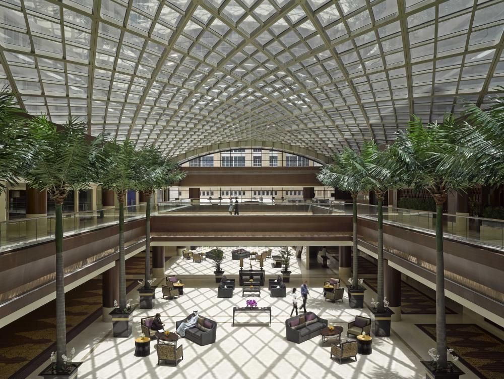 DUSIT THANI ABU DHABI - 4