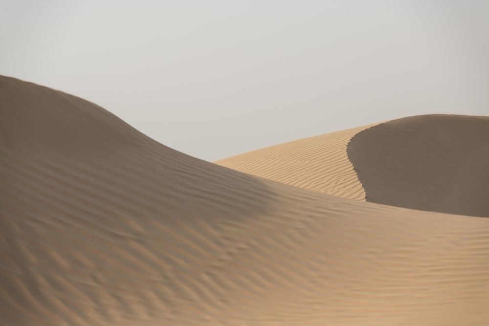 BAB AL SHAMS DESERT RESORT & SPA - 6