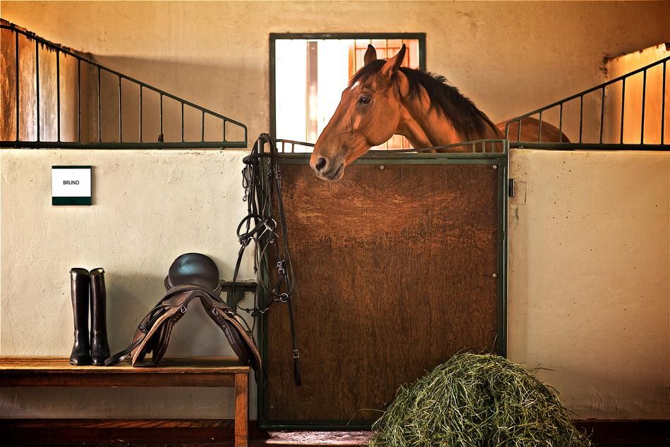 THE RITZ CARLTON RAS AL KHAIMAH, AL WADI DESERT - 67