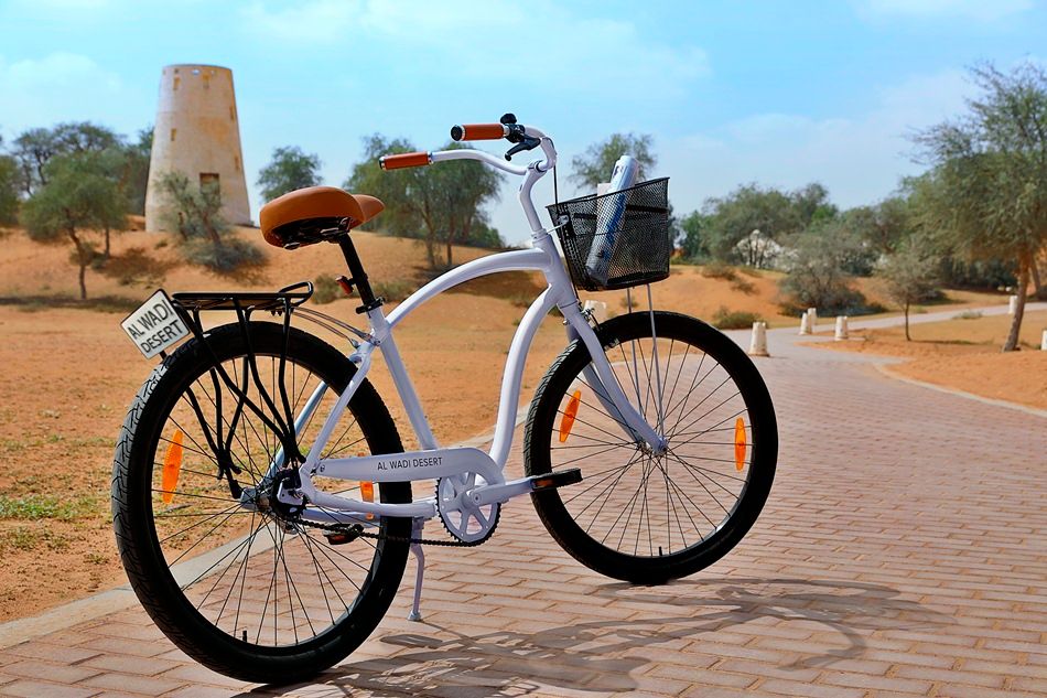 THE RITZ CARLTON RAS AL KHAIMAH, AL WADI DESERT - 63