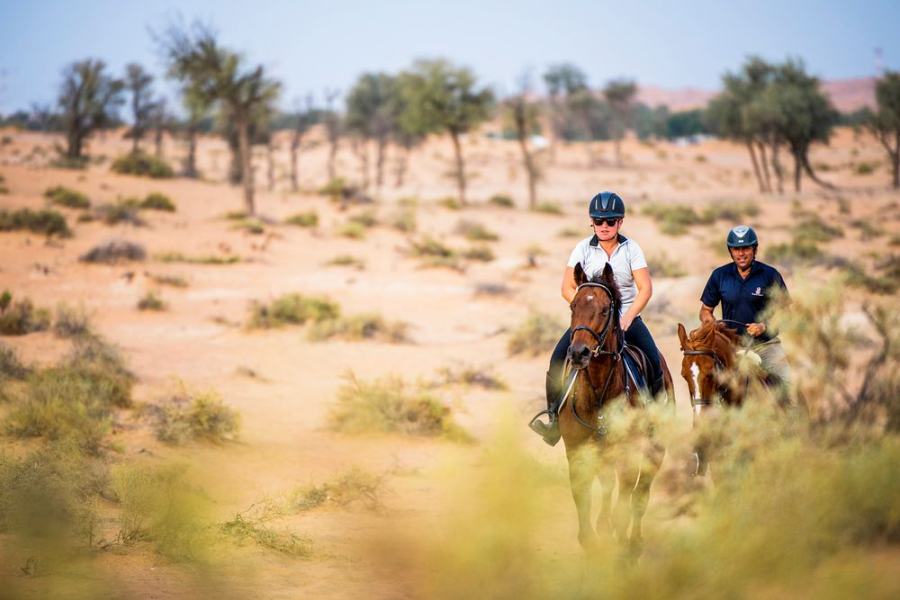 THE RITZ CARLTON RAS AL KHAIMAH, AL WADI DESERT - 68