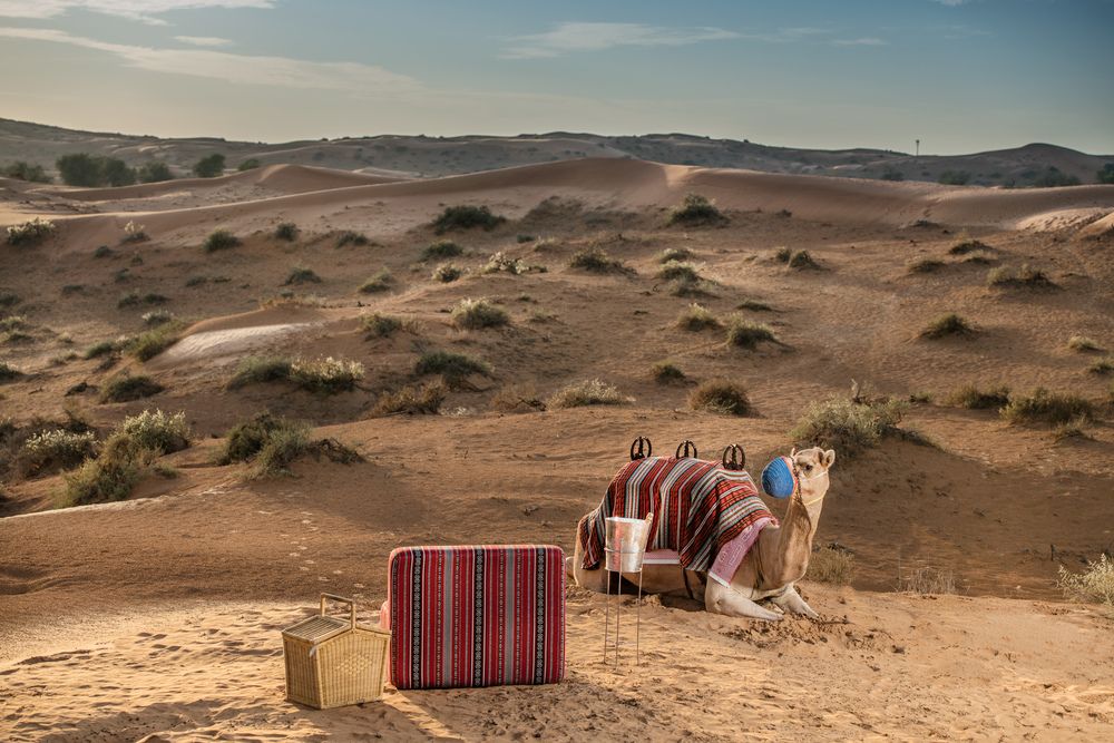 THE RITZ CARLTON RAS AL KHAIMAH, AL WADI DESERT - 49