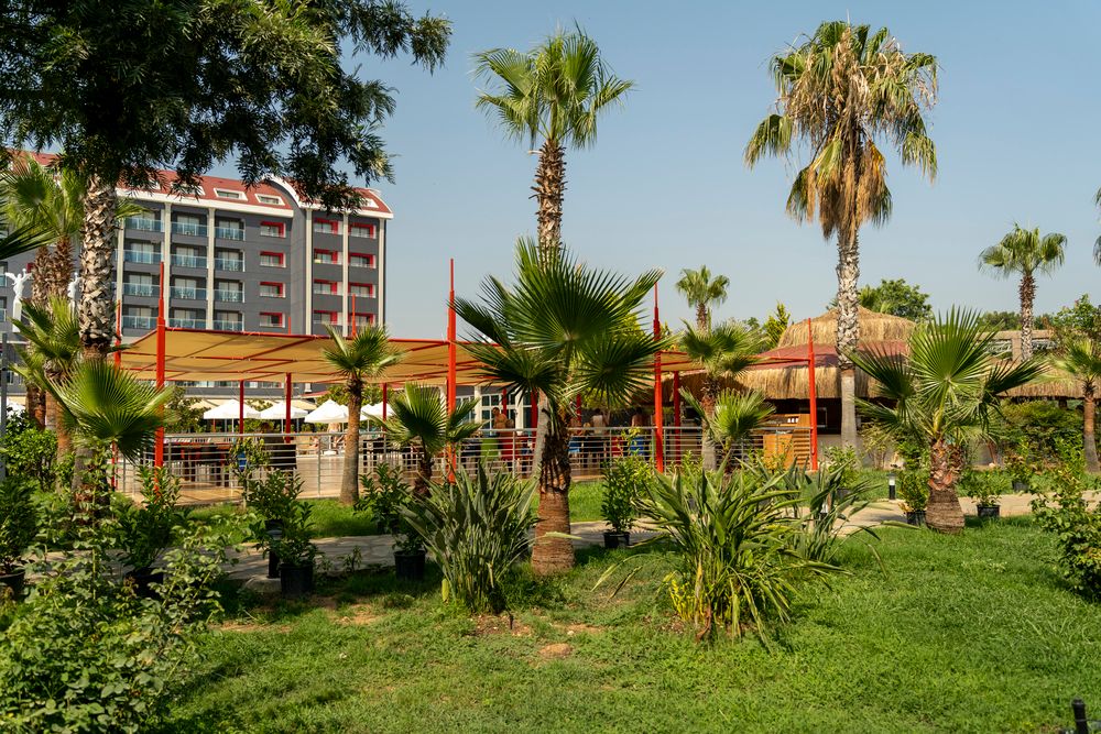 Casa Fora Beach Resort - 26