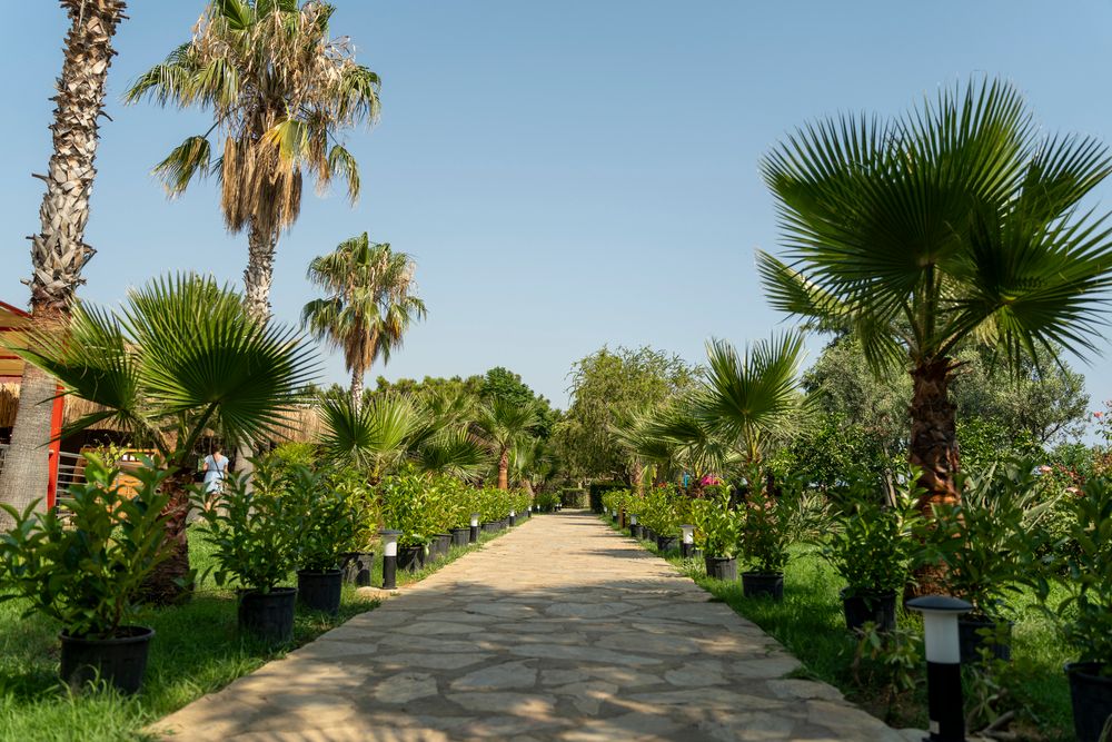 Casa Fora Beach Resort - 25