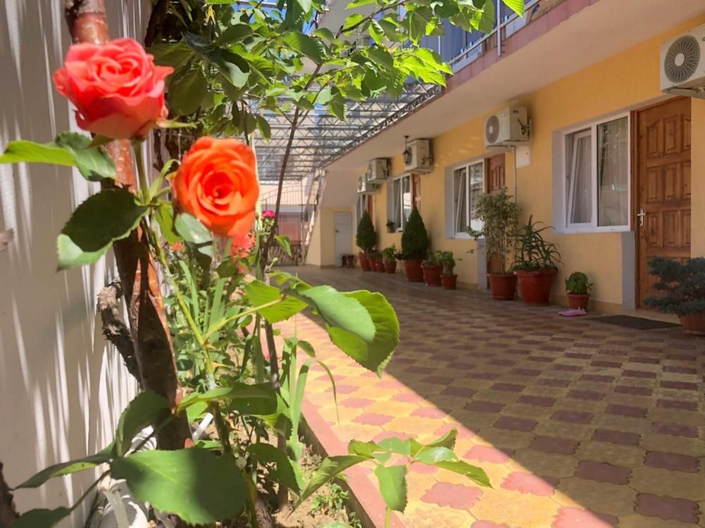 ДЕЛЬФИНЧИК, гостевой дом - 4