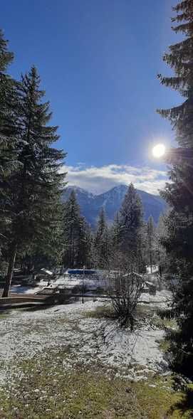 КРАСНАЯ ПОЛЯНА, база отдыха - 17