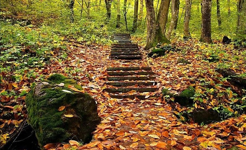 КРАСНАЯ ПОЛЯНА, база отдыха - 12