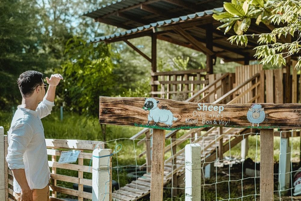 LE MERIDIEN KHAO LAK BEACH & SPA RESORT - 15