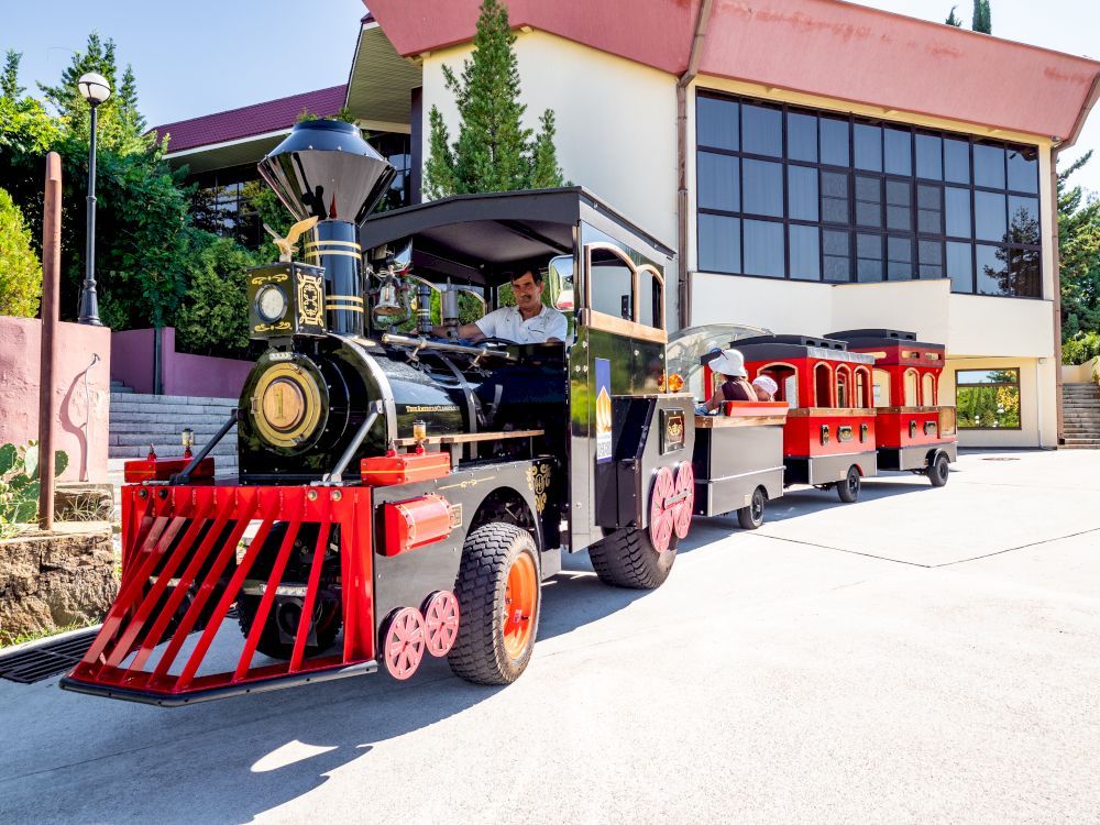 ШЕКСНА, пансионат - 66