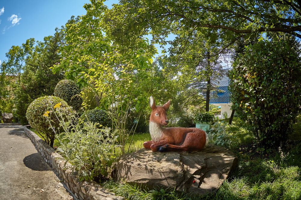 МАЯК, пансионат - 15