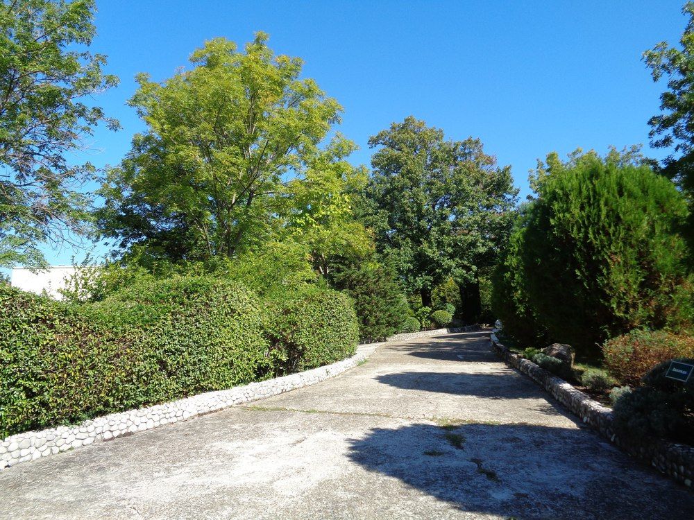 МАЯК, пансионат - 17