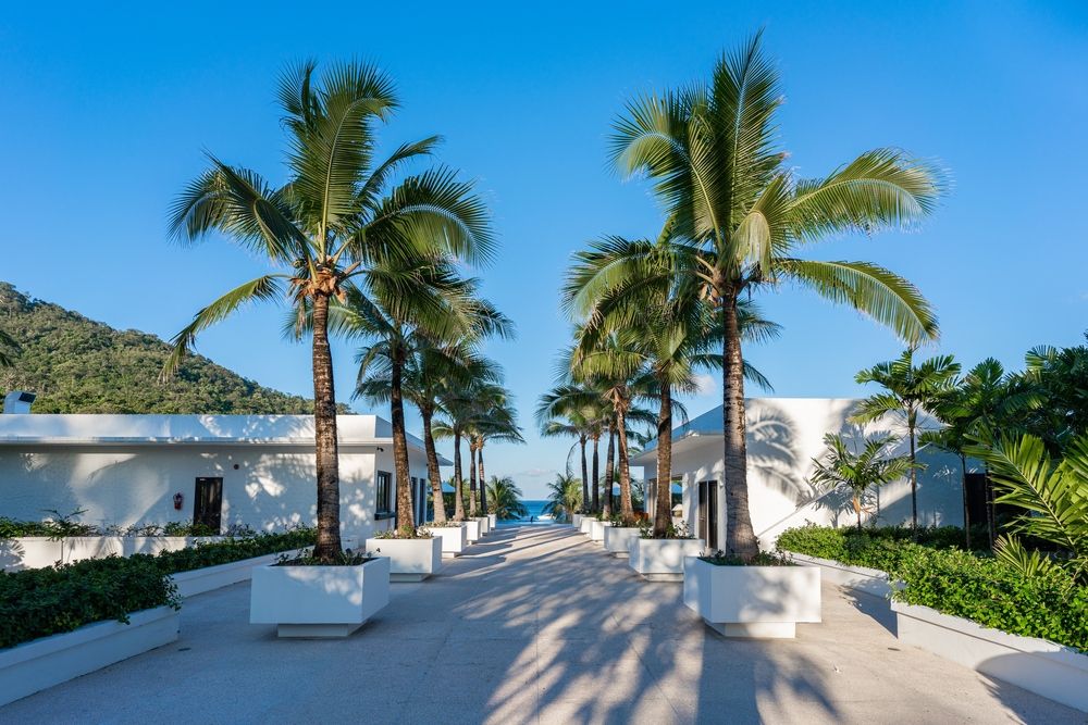 THE RACHA (Koh Racha Yai) - 97