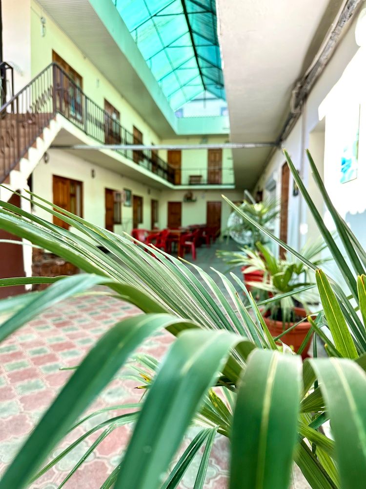 ДЕНЬ И НОЧЬ (бывш. ПАЛЬМА, гостевой дом) - 2