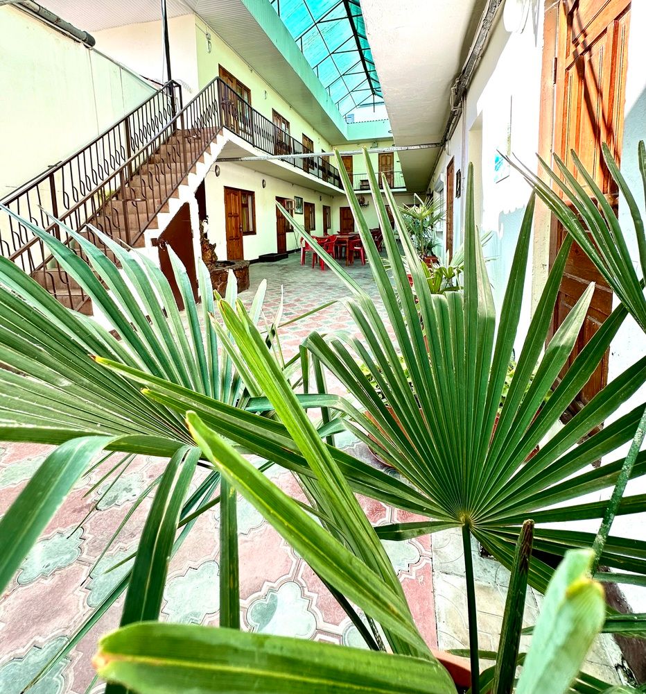 ДЕНЬ И НОЧЬ (бывш. ПАЛЬМА, гостевой дом) - 4