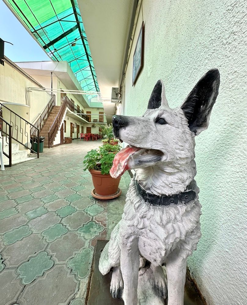 ДЕНЬ И НОЧЬ (бывш. ПАЛЬМА, гостевой дом) - 5