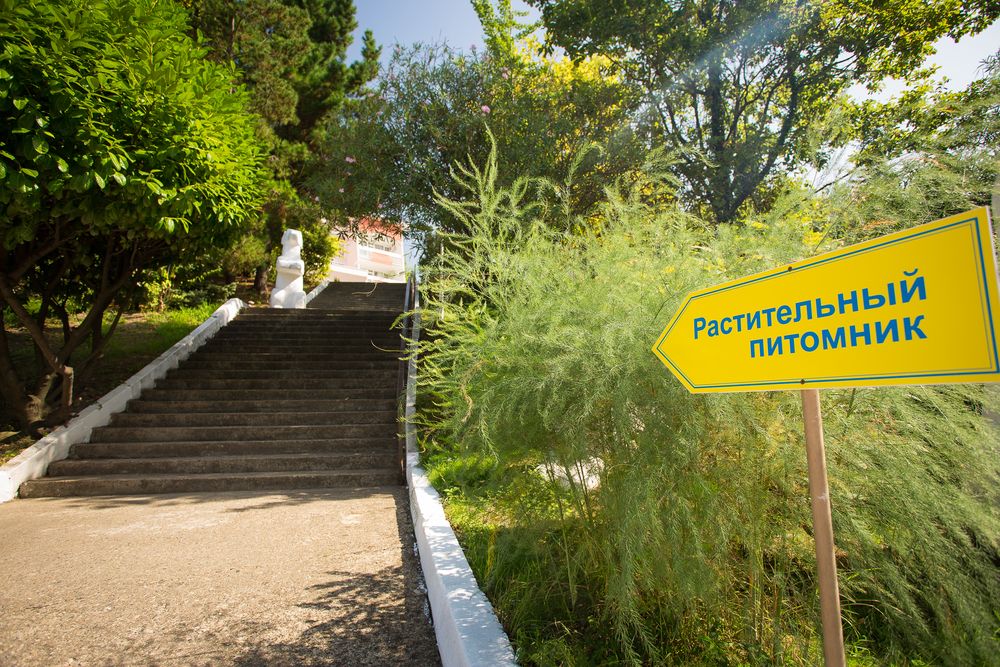 МАГАДАН, санаторий (лечение детей с 5 лет) - 15