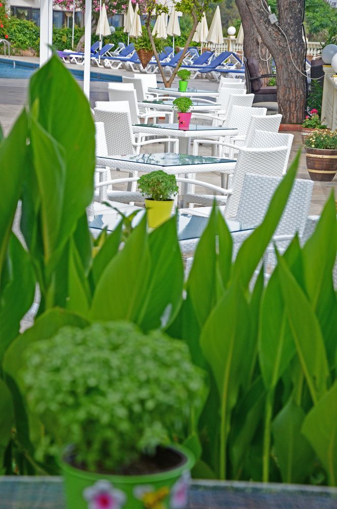 Lara Hotel (only adults 18+) - 7