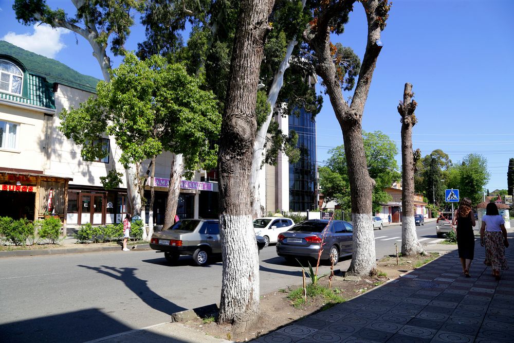 ГАГРА ЛАЗУРНАЯ, гостевой дом - 17