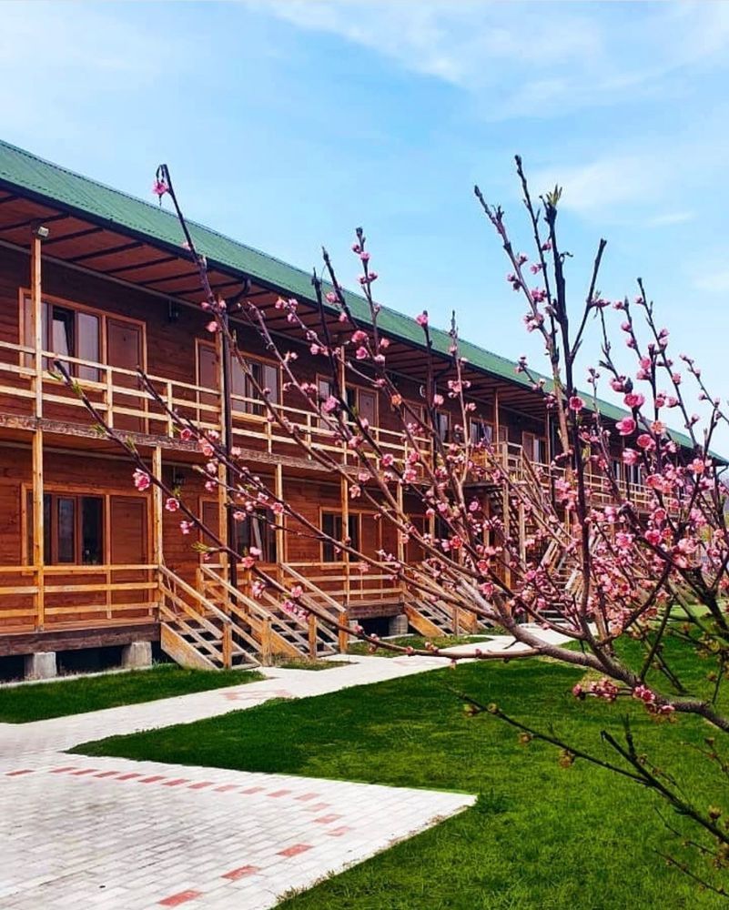 ECOHOUSE (ЭКОХАУЗ), отель стандарт - 2